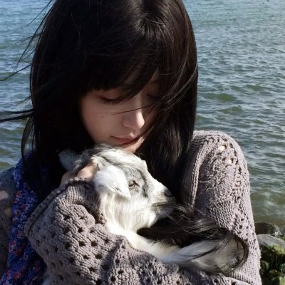爱杀疑云