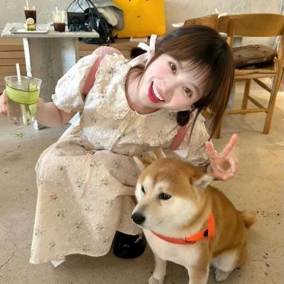 爱犬奇缘